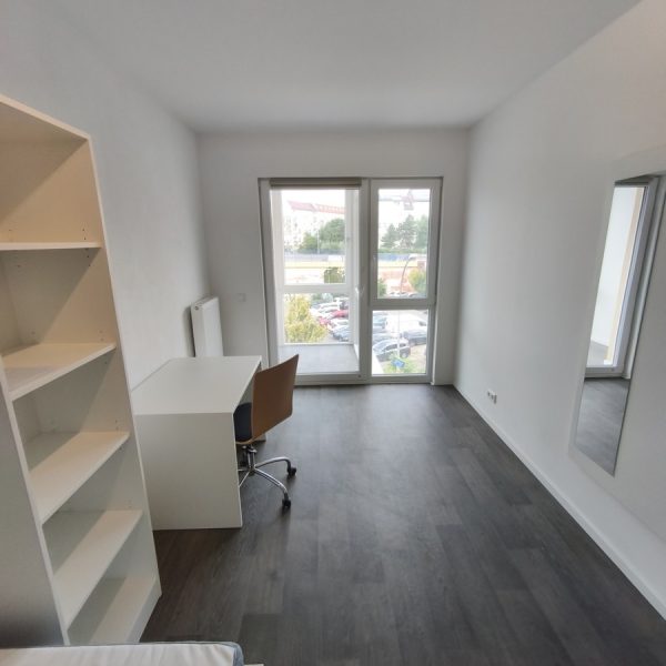 lichtenberg_20250822_135211